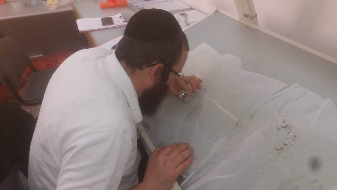 בדיקת חרקים בחממות