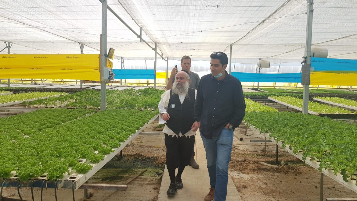 ביקור בגידולי מים לקראת שמיטה