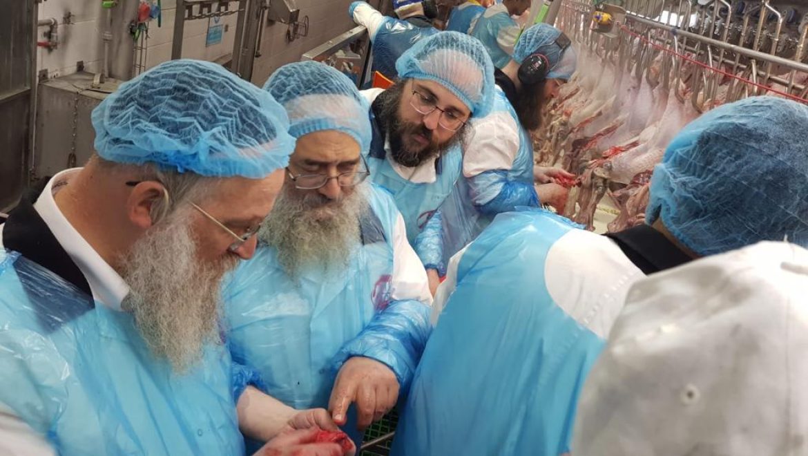הדומ”ץ הגאון ר’ אשר עקשטיין שליט”א מבורו פארק, בביקור במפעל ‘טירת צבי’