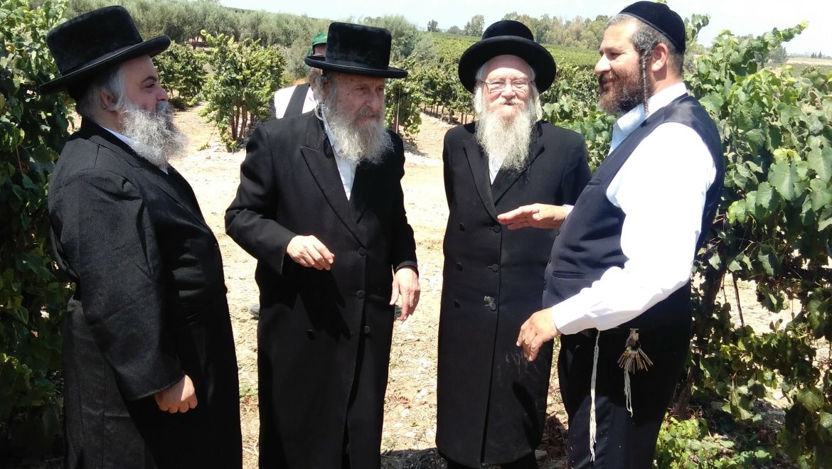 רבני ביה”ד המיוחד לענייני כשרות ביקבי ברקן