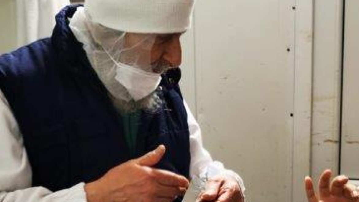 שחיטת בקר בפולין